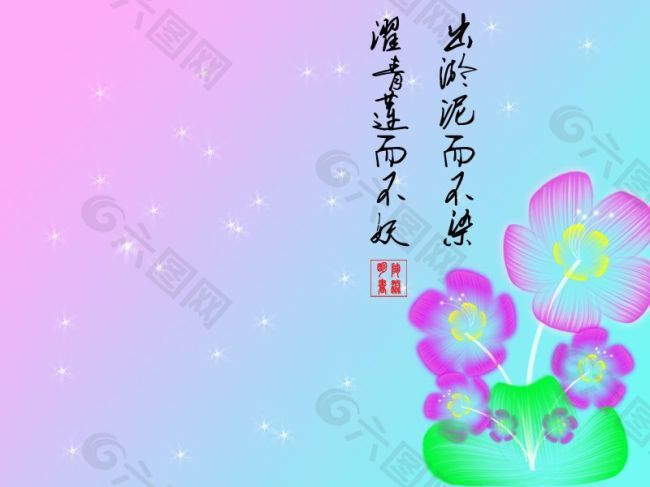 美丽的花