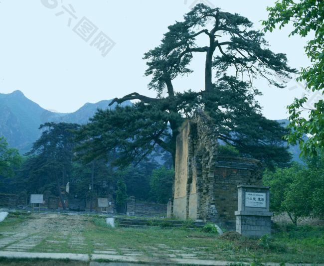 清十三陵明清园林古松绿地石板路园林风景