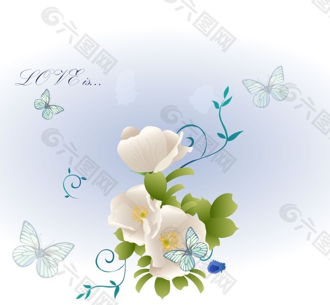 移门图片素材白色花朵和蝴蝶