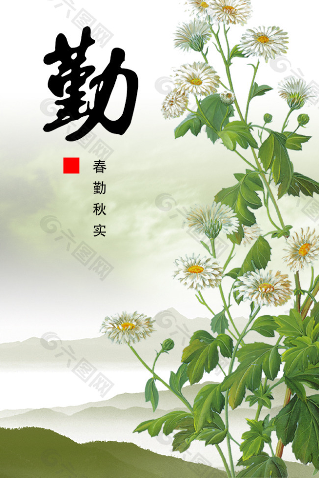 中国风企业文化-菊花