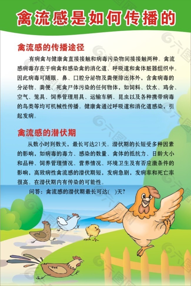禽流感预防素材免费下载(图片编号:2428714)