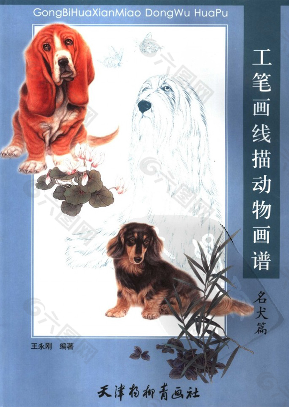 高清工笔画线描名犬画谱