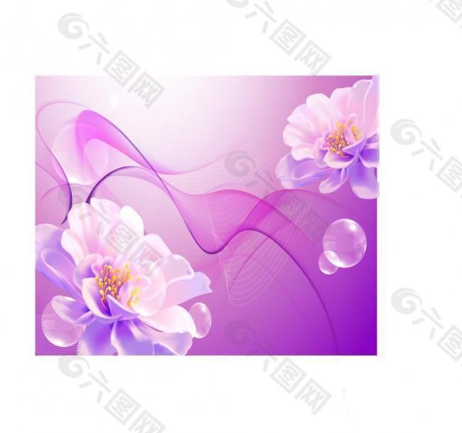 茶花图片