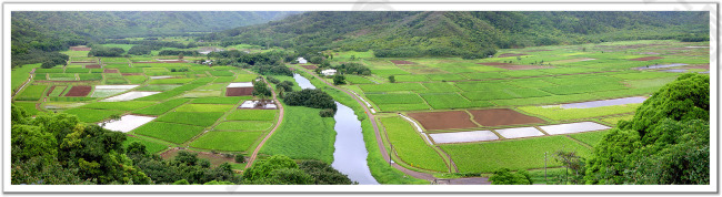 山区麦田超宽幅图片摄影全景图