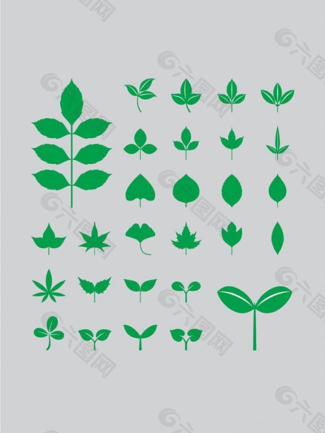 绿色 树叶图片
