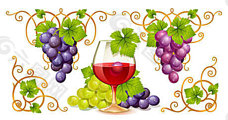 葡萄与葡萄酒矢量素材