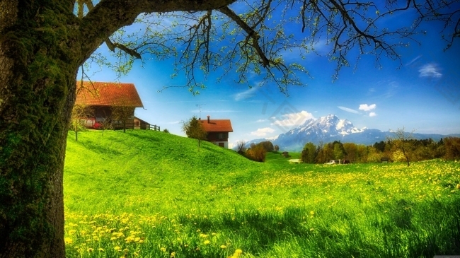 高清背景  图片素材