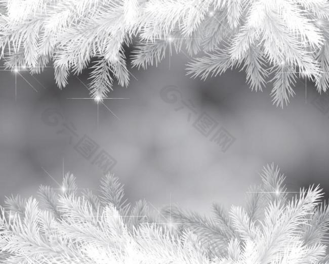 松树枝积雪圣诞背景图片