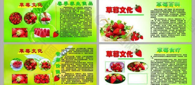 草莓园展板图片