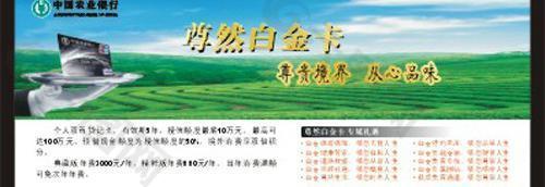 中国农业银行白金卡图片