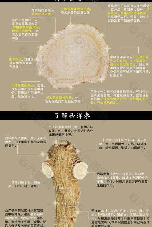 西洋参功效网页广告图片