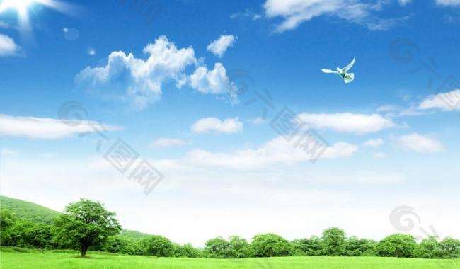 风景 蓝天白云 绿草 森林图片
