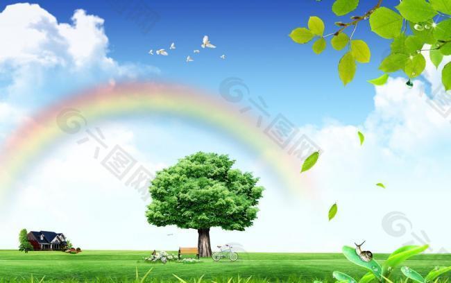 彩虹下的树图片