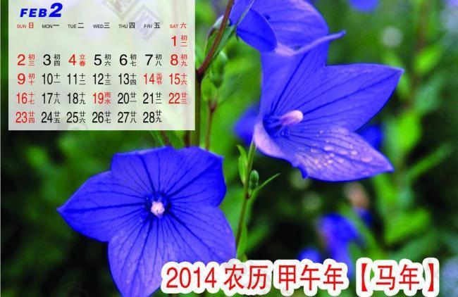 2014年 月历 2月图片