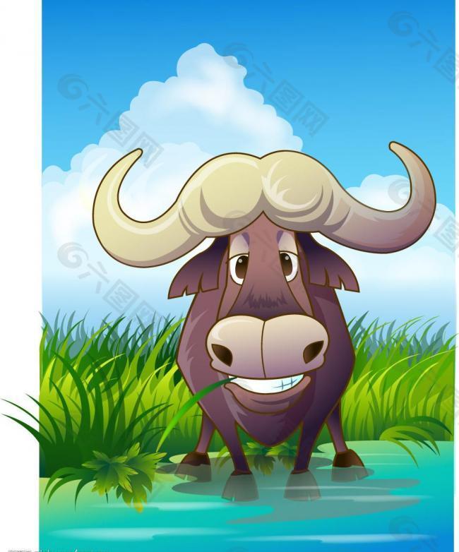 动物插画 野牛图片
