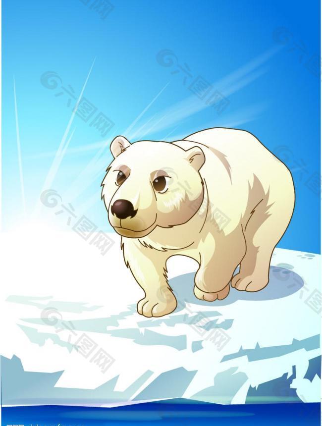 动物插画 北极熊图片