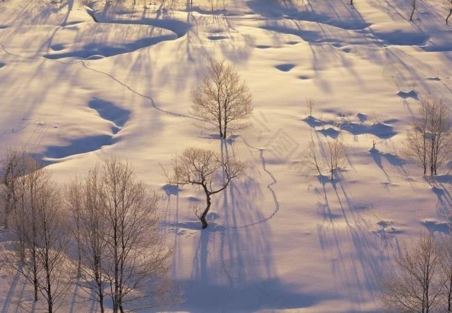 阳光雪景图片