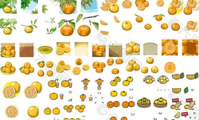 橙子 柠檬 橘子图片