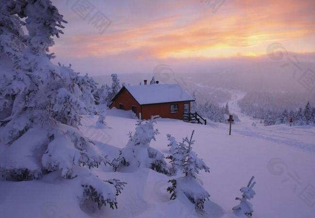 阳光雪景图片