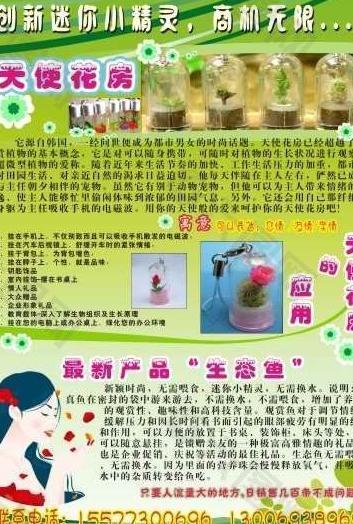 天使花房宣传单图片