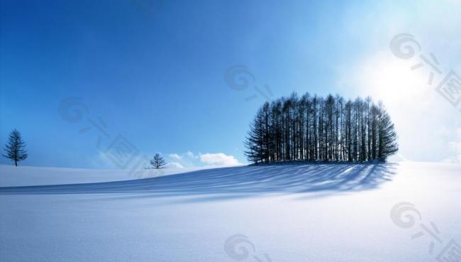 阳光雪景图片