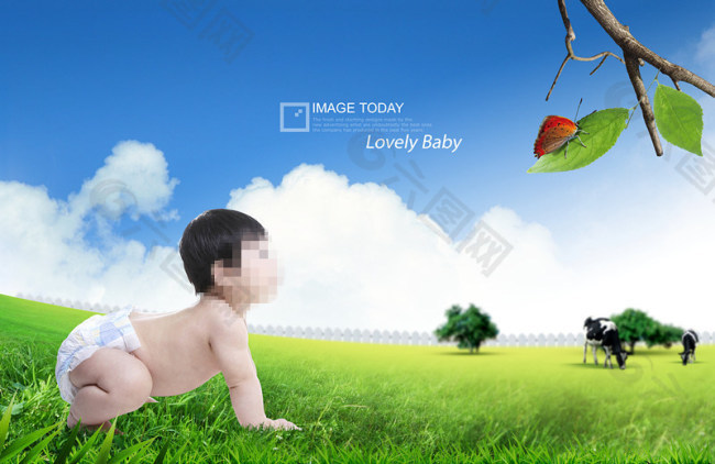 草地上爬行的婴儿