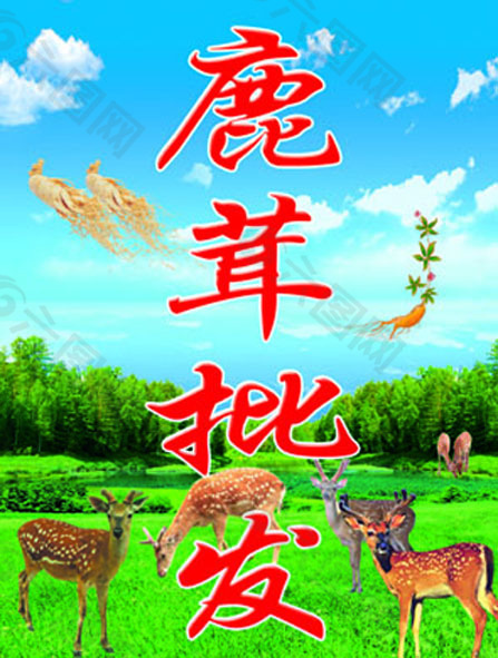 鹿茸批发牌匾