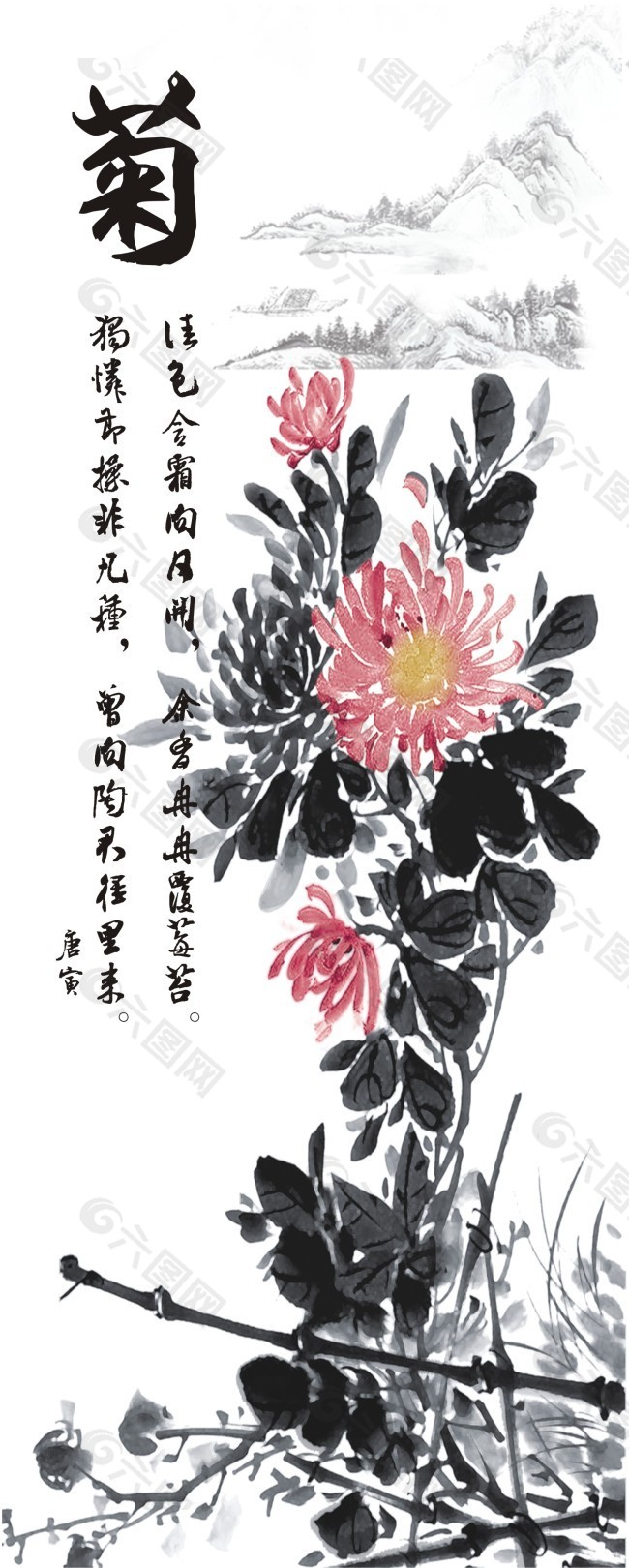 菊