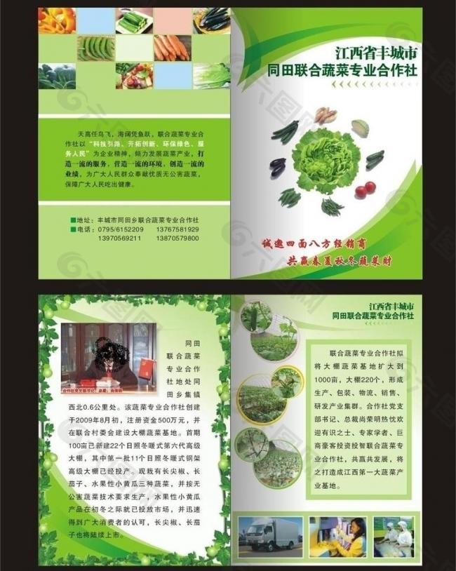 蔬菜宣传单画册图片