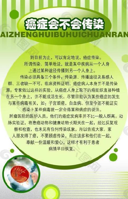 展板 画册 彩页 单页 海报图片