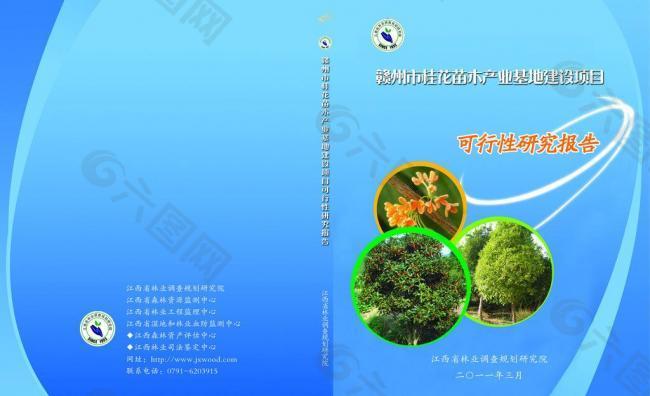 可行性研究报告封面 标书封面图片