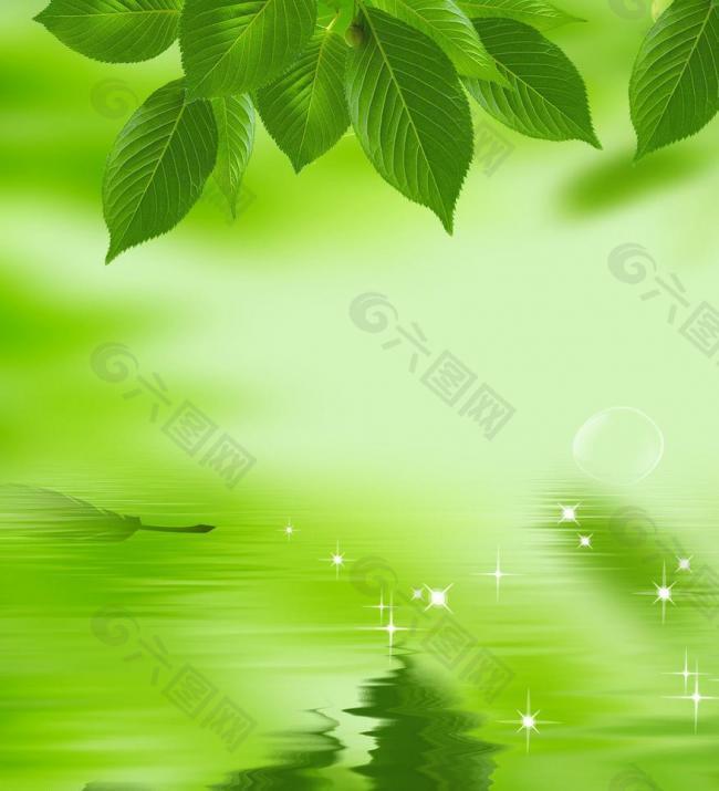 绿色海报 树叶图片