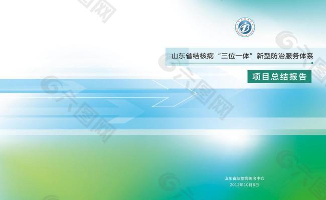 项目总结报告图片