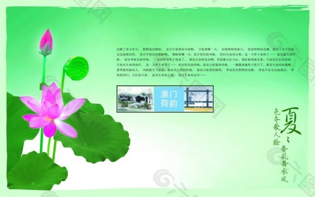 澳门荷韵