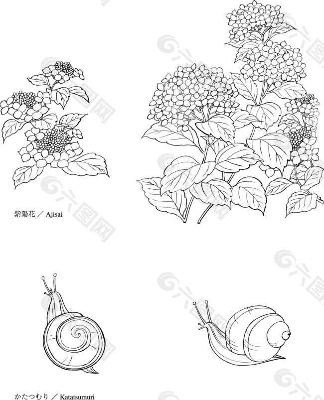 蜗牛绣球花线条插画