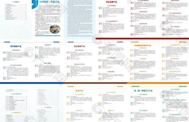 德兴招商引资项止册内页图片