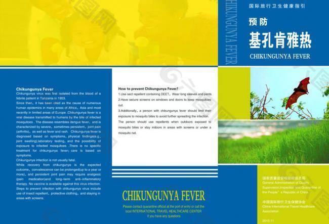 基肯尼雅热图片