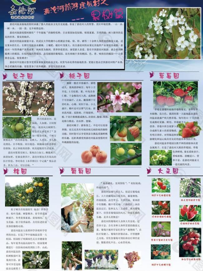 温泉果树宣传册图片