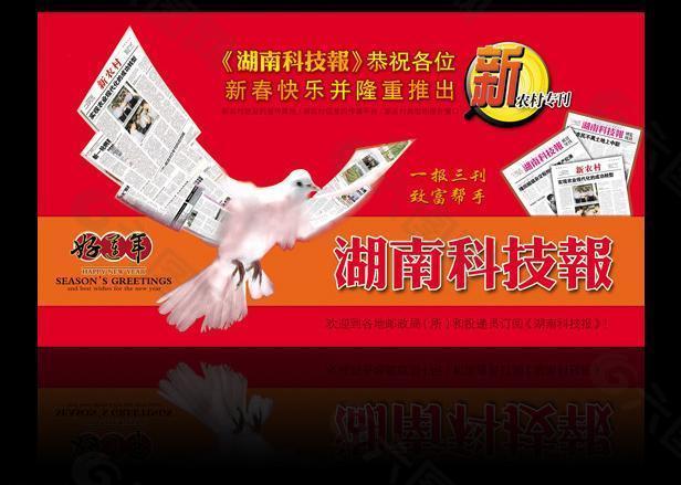 湖南科技报明信片 鸽子版图片