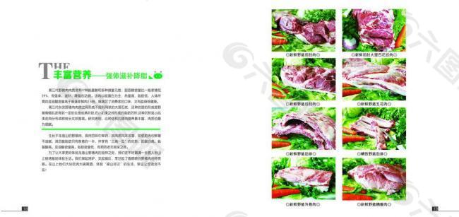 龙庙山野猪肉画册图片