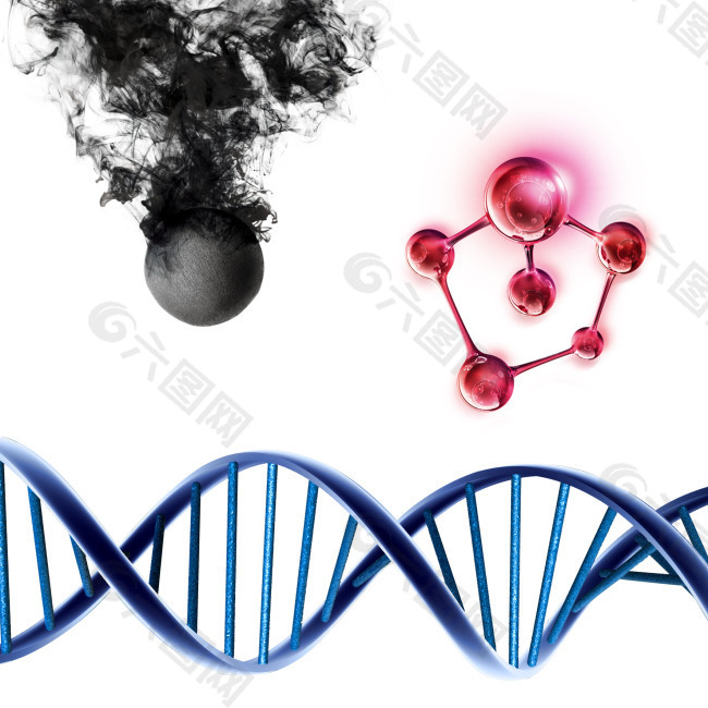 分子结构 DNA结构图