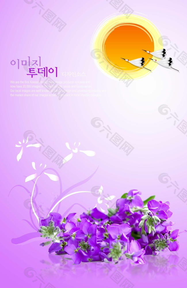 紫色系花朵造型平面设计素材