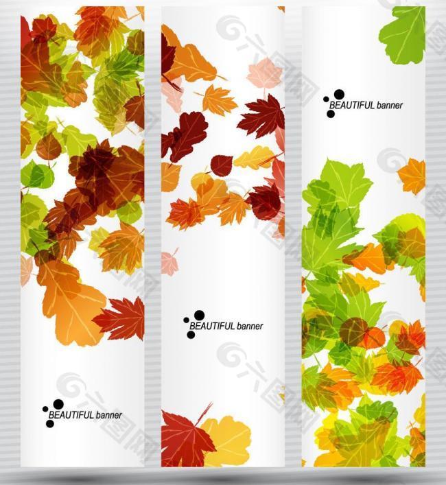 秋天树叶背景 展板图片