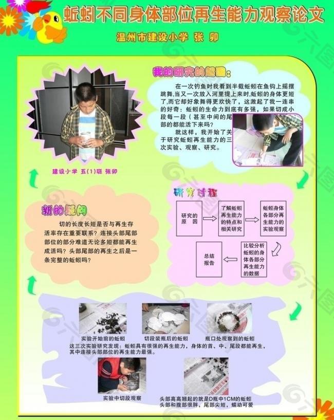 再生能力观察论文展板图片