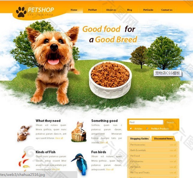 宠物店网页模版
