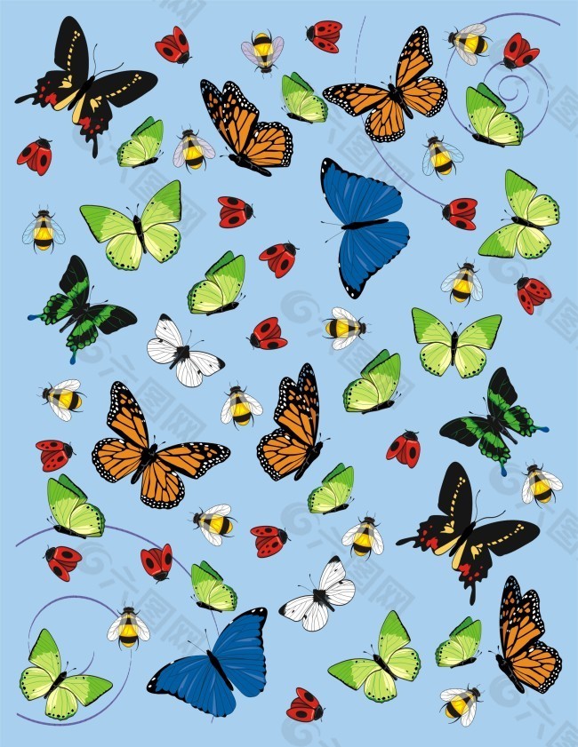 各种彩色蝴蝶