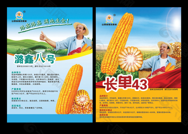 玉米种子宣传