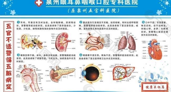 五官不适警惕五脏疾病图片