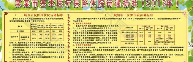 医疗保险住院待遇标准图片