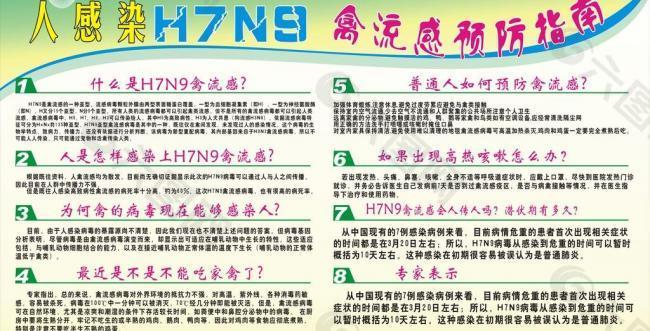 h7n9禽流感知识及图片